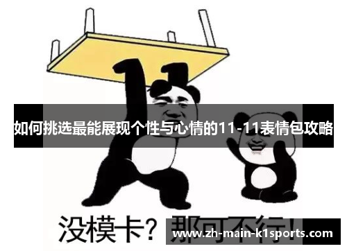 如何挑选最能展现个性与心情的11-11表情包攻略
